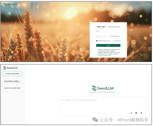 AI technology applied to improve crop breeding