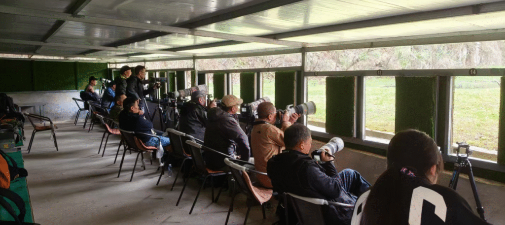 'Home of Crested Ibis' leverages ecological resources for sustainable prosperity