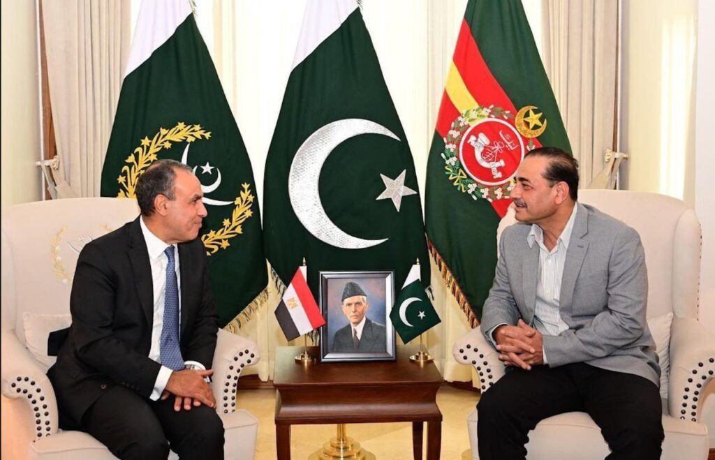egyptian foreign minister meets coas in rawalpindi