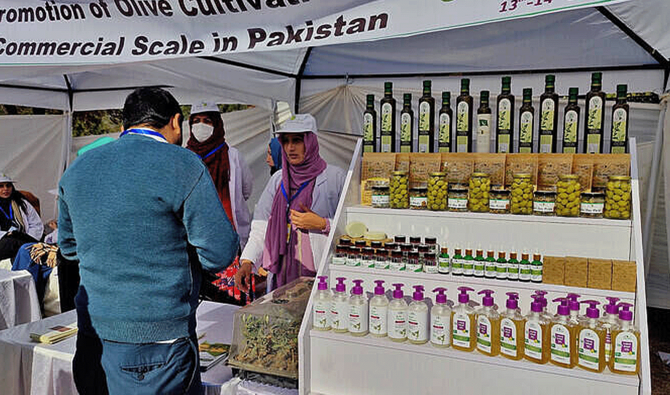 Pakistan registers 144 olive startups as industry expands