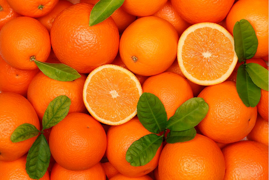 Punjab begins seedless kinnow development to boost citrus exports