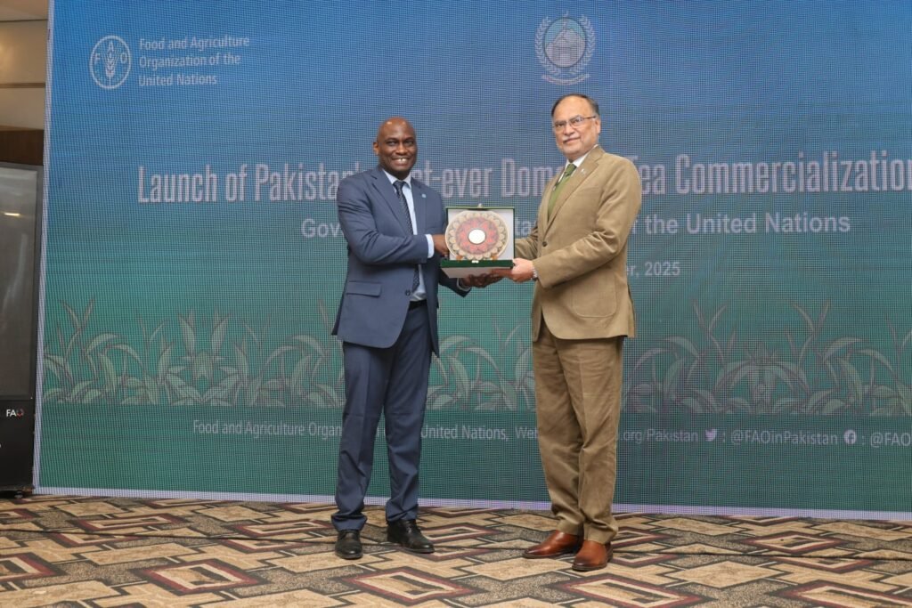 pakistan unveils first domestic tea commercialization strategy to cut imports, boost rural economy