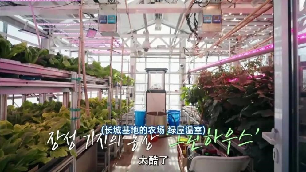 Storm-stranded South Korean cast finds refuge at Chinese Antarctic research station 2 Storm-stranded South Korean cast finds refuge at Chinese Antarctic research station