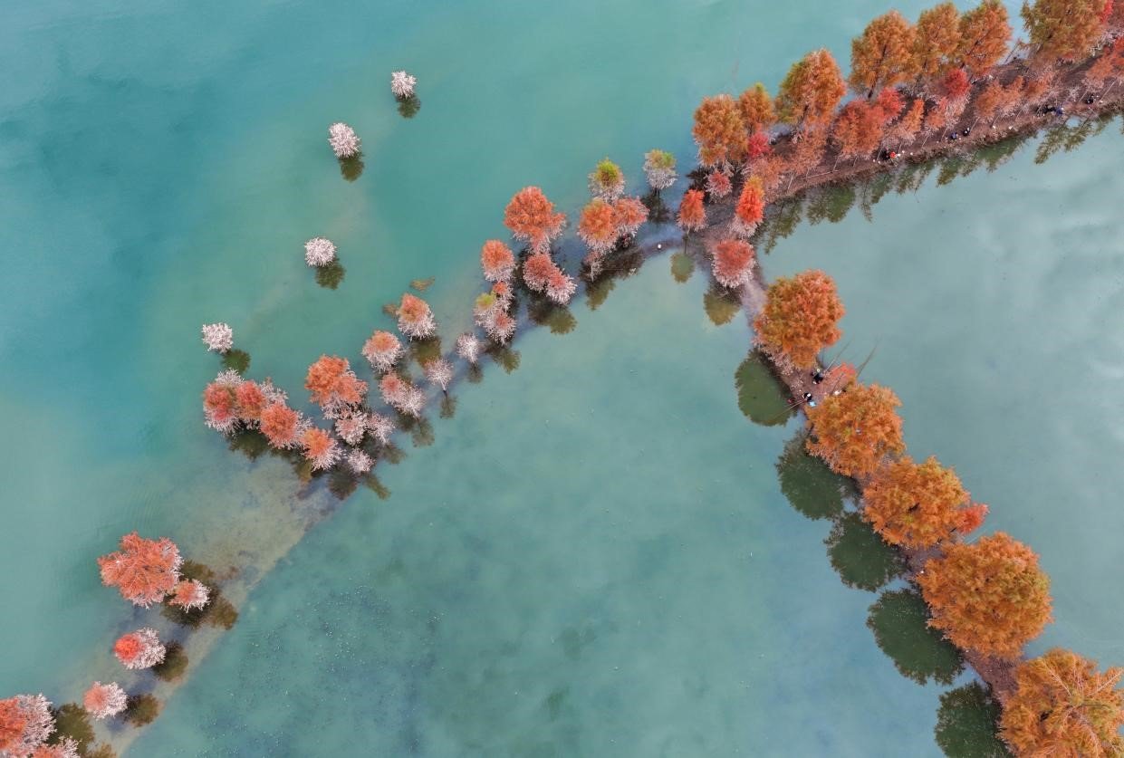 Improved water ecology transformed into economic benefits in Kaizhou district, Chongqing