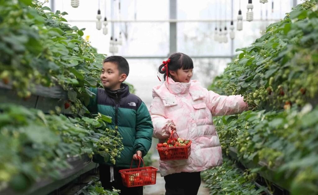 How intellectual property drives China'srural transformation 2 How intellectual property drives China'srural transformation