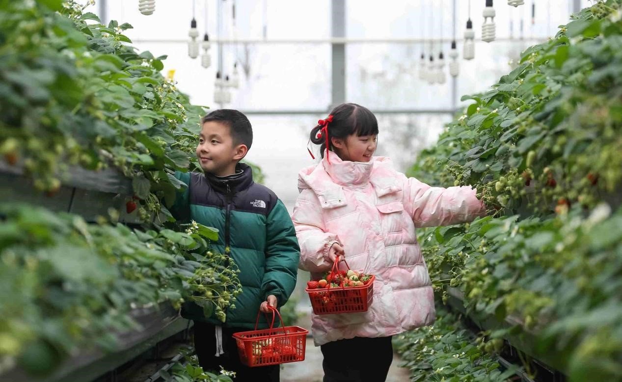 How intellectual property drives China'srural transformation