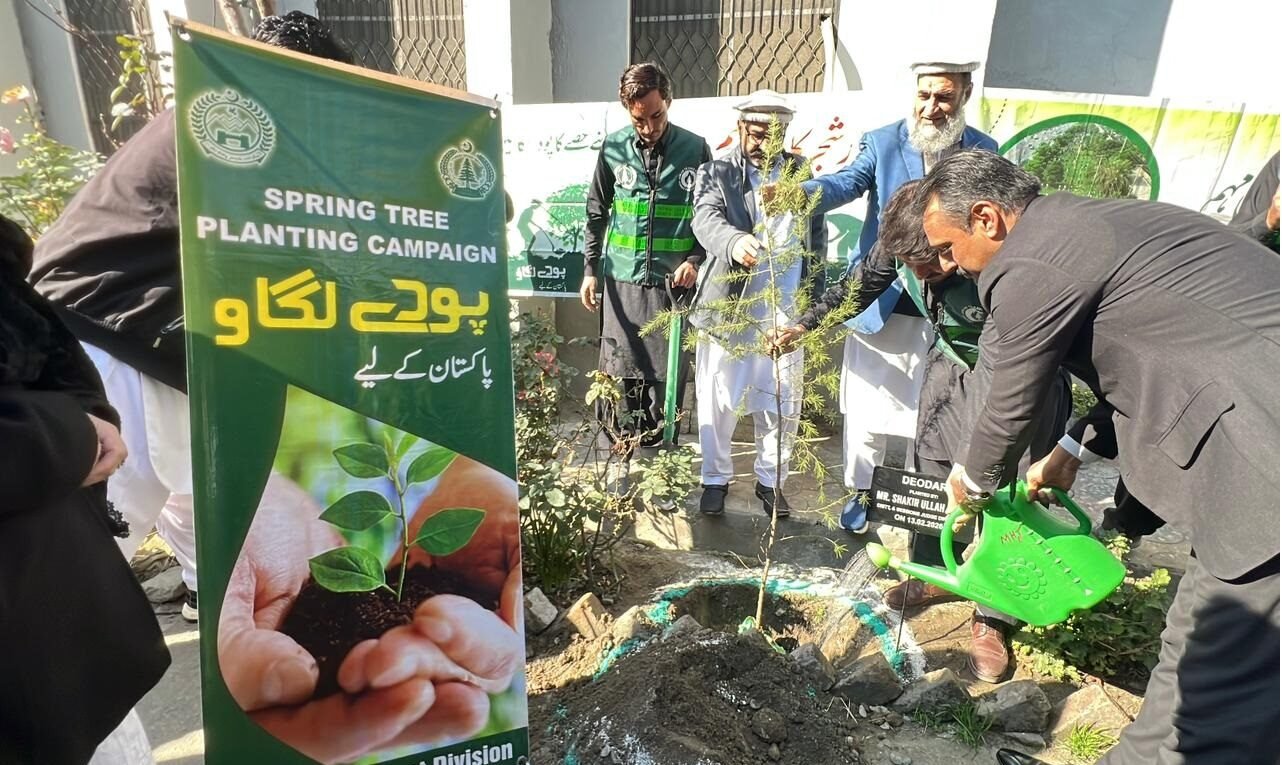 Judges and lawyers participate in spring tree plantation campaign at Lower Dir courts