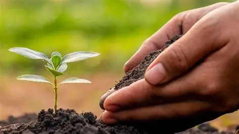 Rs1.3bn project planned to improve soil fertility, crop productivity 2 zameen