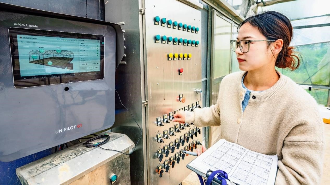 A vibrant China powered by youth