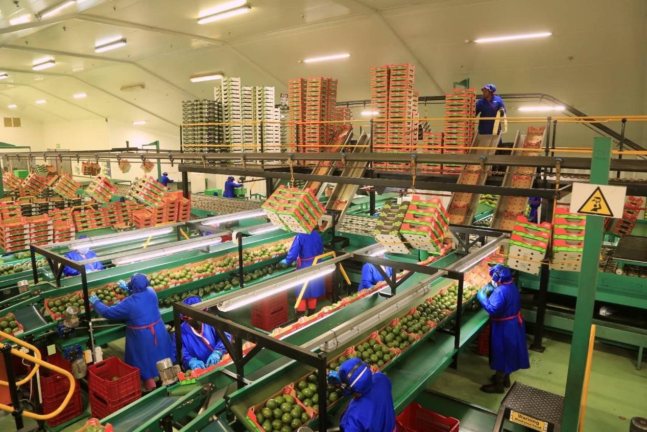 China's zero-tariff policy for Africa: a landmark in new era cooperation 2 China’s zero-tariff policy for Africa: a landmark in new era cooperation