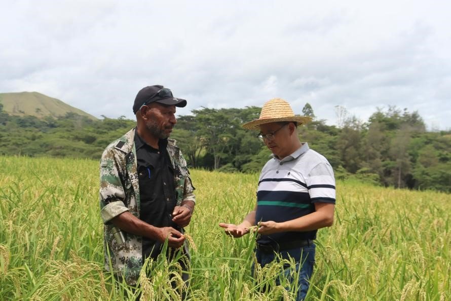 Rural development project in China showing how targeted poverty alleviation and industrial growth support poverty reduction.
