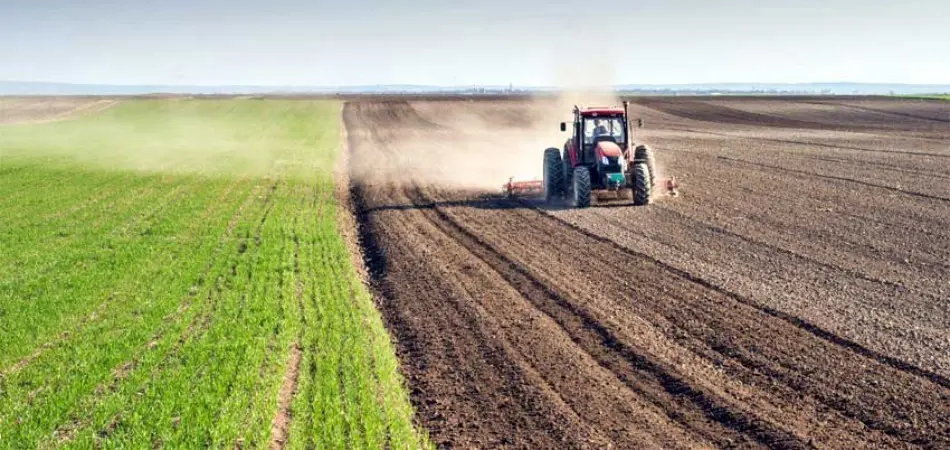Punjab rolls out Rs60bn agro parks to boost exports