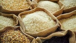 Pakistan completes six-year rice productivity enhancement project 2 Pakistan completes six-year rice productivity enhancement project
