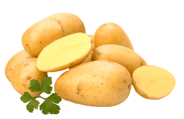 Pakistan develops four potato varieties for fries, chips industry