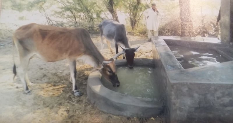 Rainwater projects in Sindh and KP benefit thousands of people and livestock