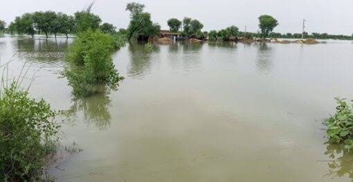 KP allocates Rs13bn to restore flood-damaged irrigation infrastructure