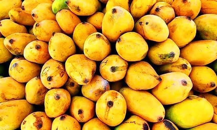 Pakistan exports 44,882 tonnes of mangoes as 2026 season progresses