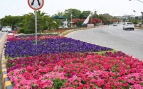 FoodAg 2027 to spearhead horticulture development initiative