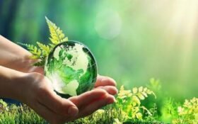Green Pakistan Programme sets up 165 village conservation committees