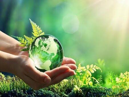 Green Pakistan Programme sets up 165 village conservation committees
