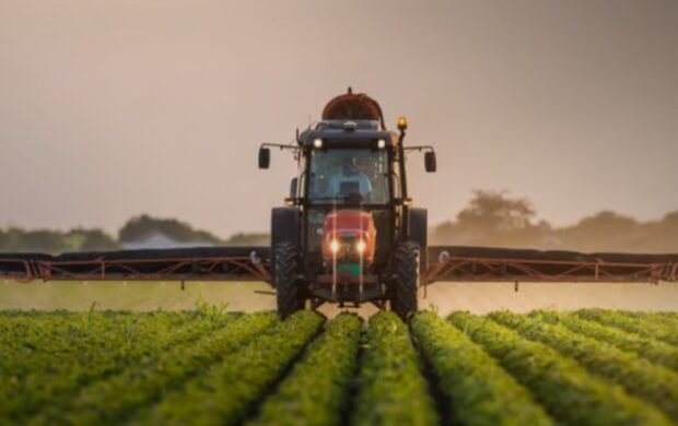 Punjab allocates £300,000 for climate-smart agriculture in Cholistan, Thal
