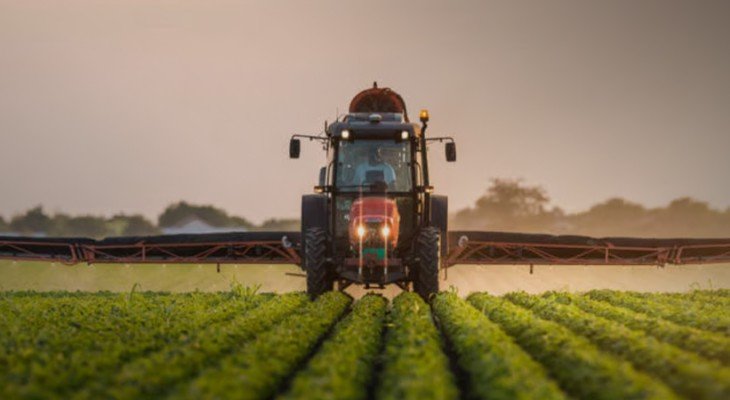 Punjab allocates £300,000 for climate-smart agriculture in Cholistan, Thal