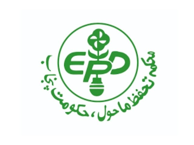$15m initiative proposed to support 800 women-led green startups
