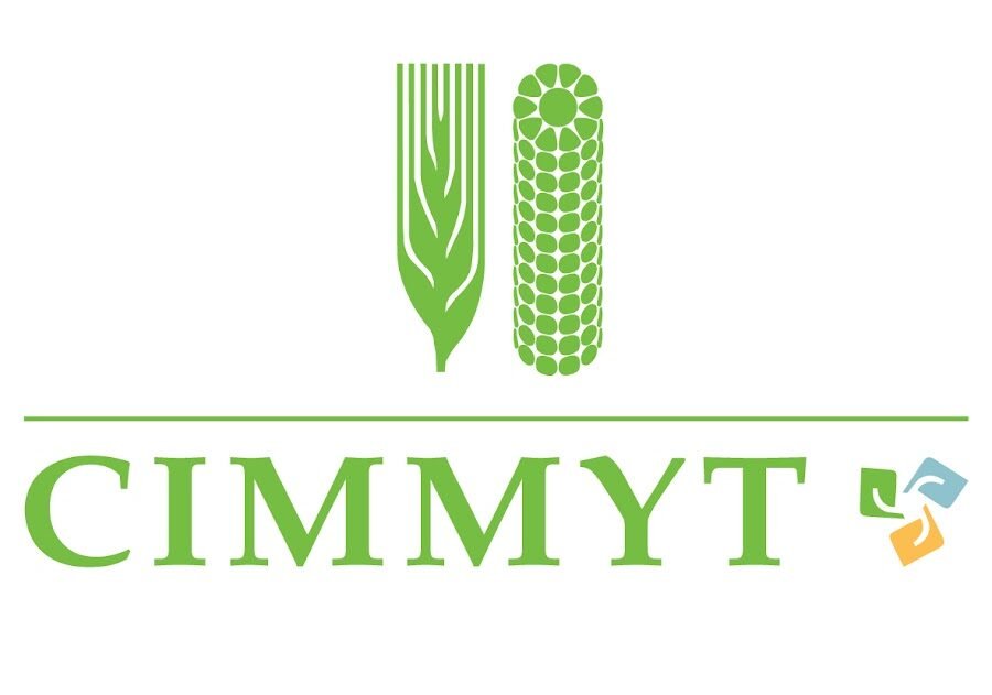 CIMMYT equips Pakistani research institutes to strengthen wheat research
