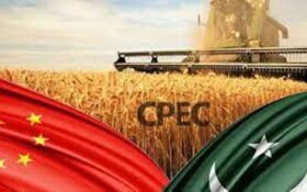 China to support Pakistan in revamping agricultural research sector