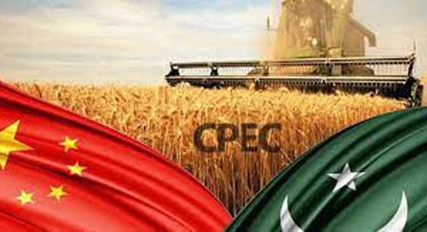 China to support Pakistan in revamping agricultural research sector