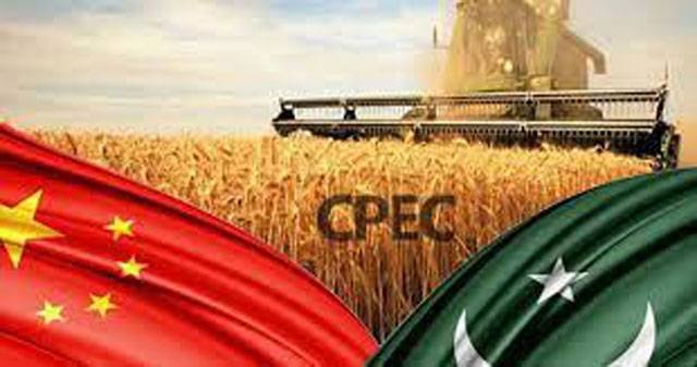 China to support Pakistan in revamping agricultural research sector