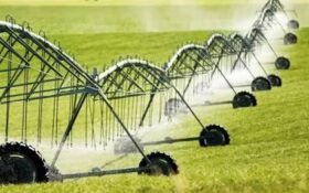 Punjab calls on farmers to embrace water-efficient irrigation practices