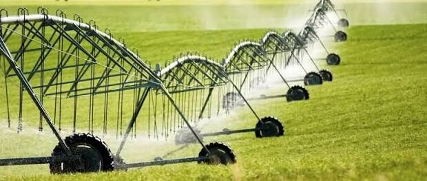 Punjab calls on farmers to embrace water-efficient irrigation practices