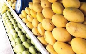 Pakistan generates $1.13 million from mango pulp exports in FY26