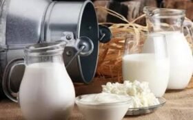 Punjab allocates Rs1 billion for dairy mechanization to support 6,400 farmers