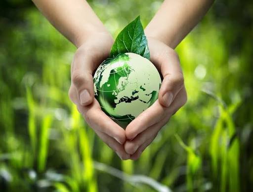$10m initiative targets 1,000 youth-led green projects across Pakistan
